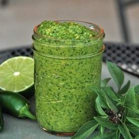 Thai Basil Pesto