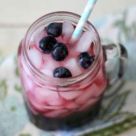 Skinny Blueberry Spritzer