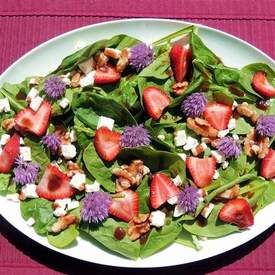 Spring Spinach & Strawberry Salad