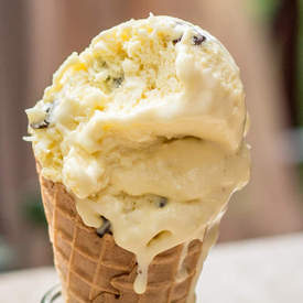 Coconut Chocolate Chip Ice Cream