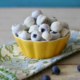 Frozen Yogurt Covered Blueberries