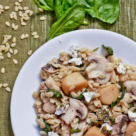 Balsamic Semi Di Melone Pasta