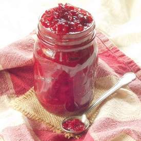 Spicy Cranberry Apple Sauce