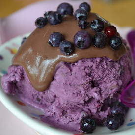 Blueberry Ice Cream