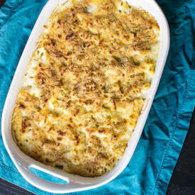 Creamy Chicken Alfredo Pasta Bake