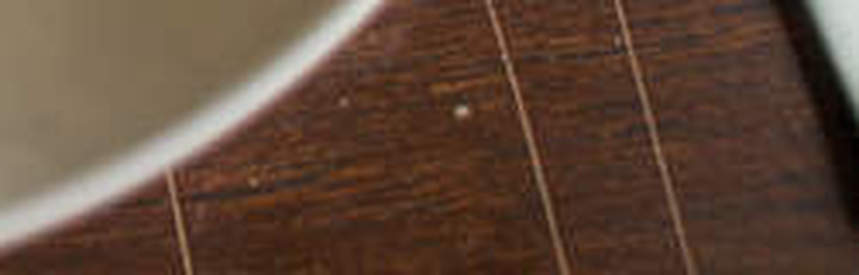 Asparagus Lemon Mint and Pea Risotto