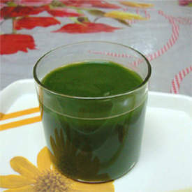 Wheat Grass Juice