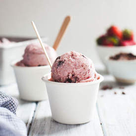 Strawberry Coconut Chocolate Chip Ice Cream