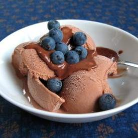 Vegan Chocolate Coconut Ice Cream