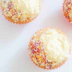 Moist Yellow Cupcakes with White Chocolate Frosting