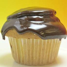 Boston Cream Cupcakes